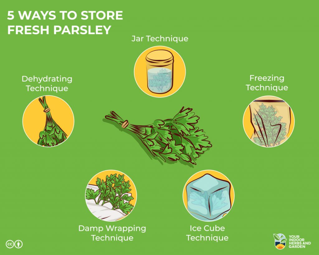 How to Store Italian Parsley