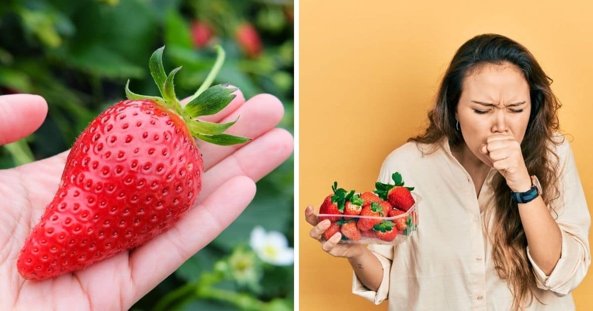 How Many Strawberries Can Kill You