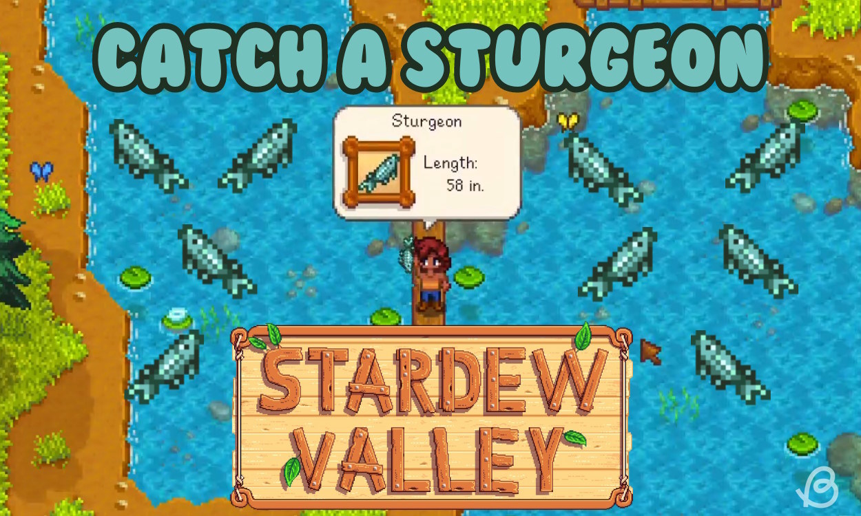 Stardew Valley Where to Catch Sturgeon