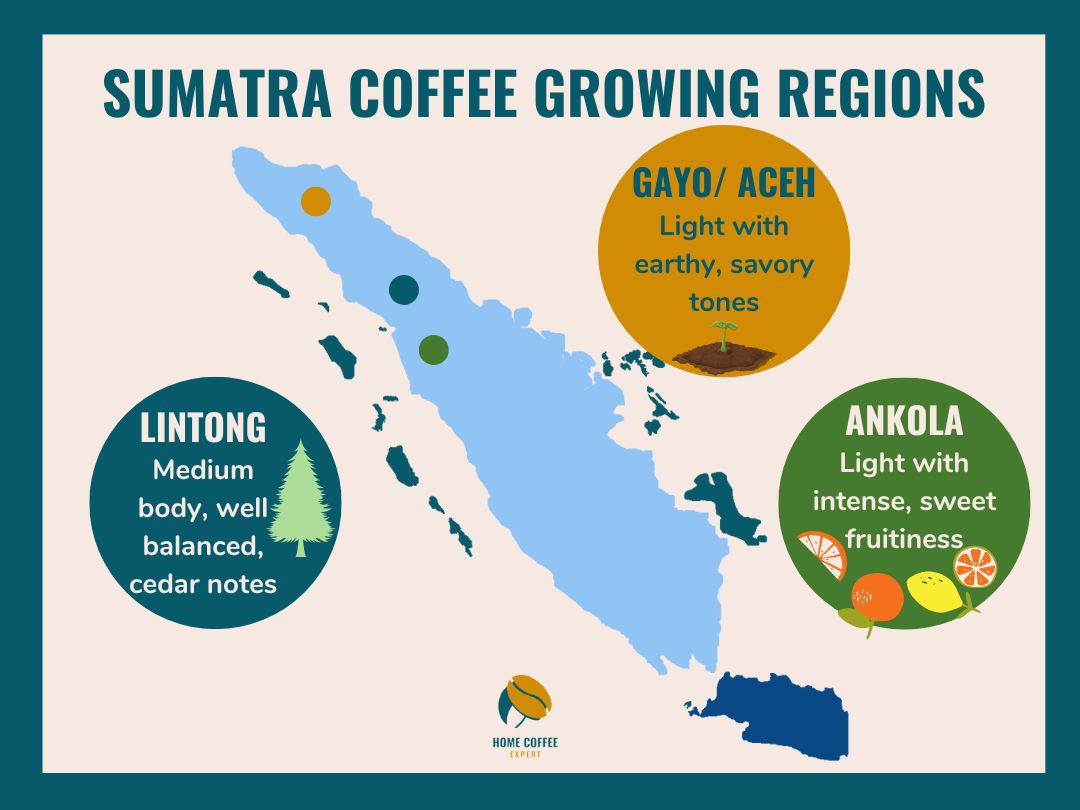 Where Is Sumatra Coffee From