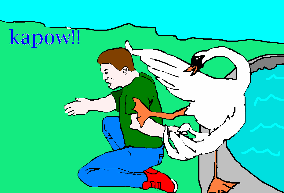 Can a Swan Break Your Arm