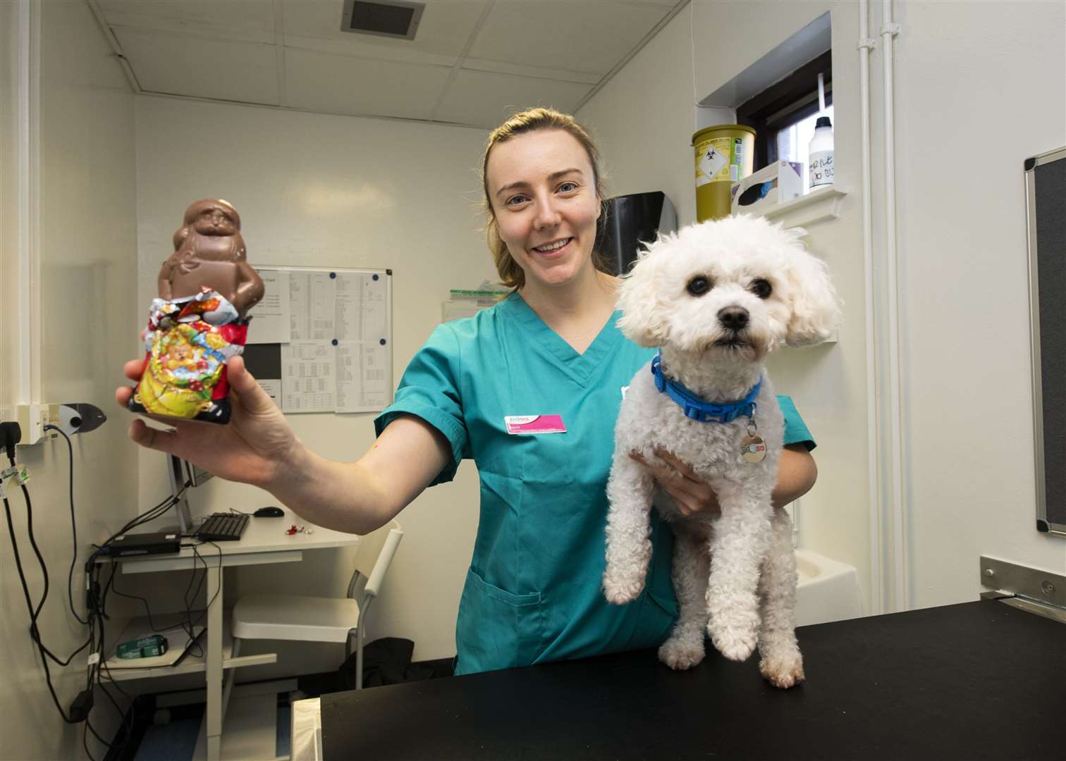 Veterinary Charity Warns Pet Owners Against Dangerous Online Health Hacks