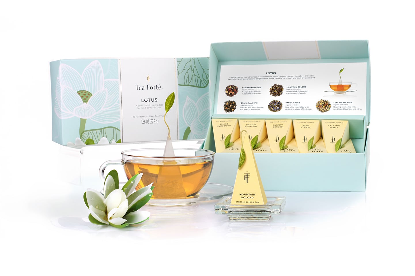 ティー ルーム 茶々 独自取材！リニューアルと未公開メニューの全貌