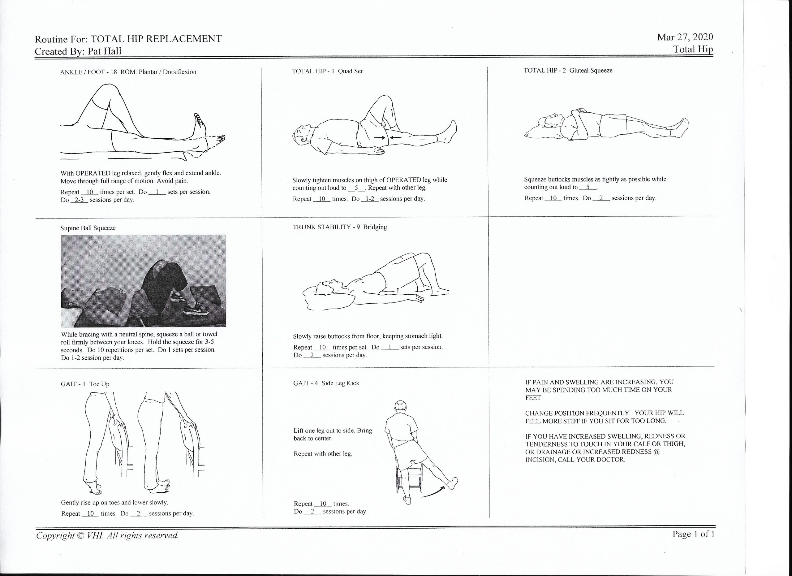 Anterior Total Hip Replacement Exercises Pdf