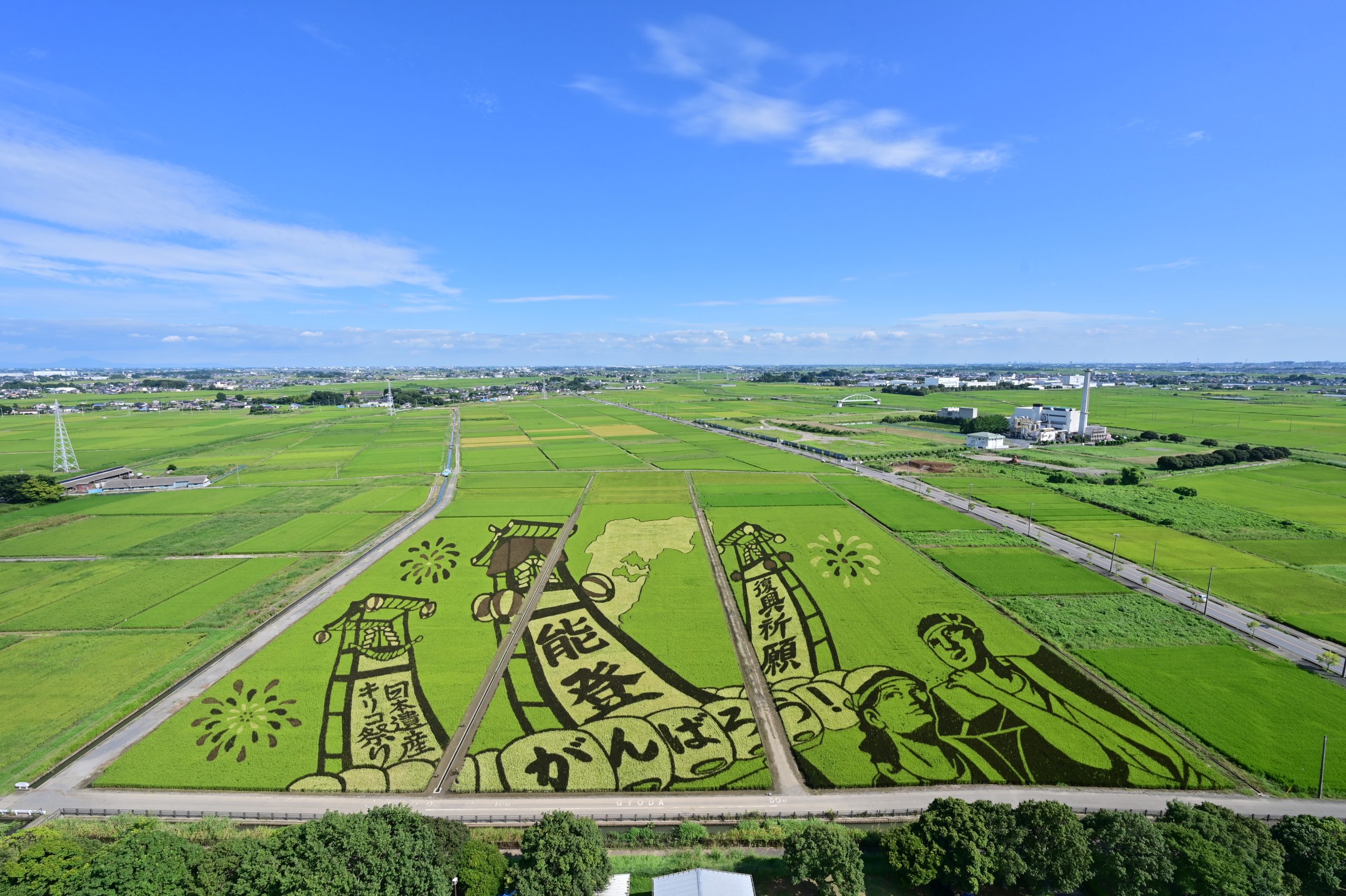 ギネス級の壮大さ！行田市田んぼアートの見頃と混雑回避の極意