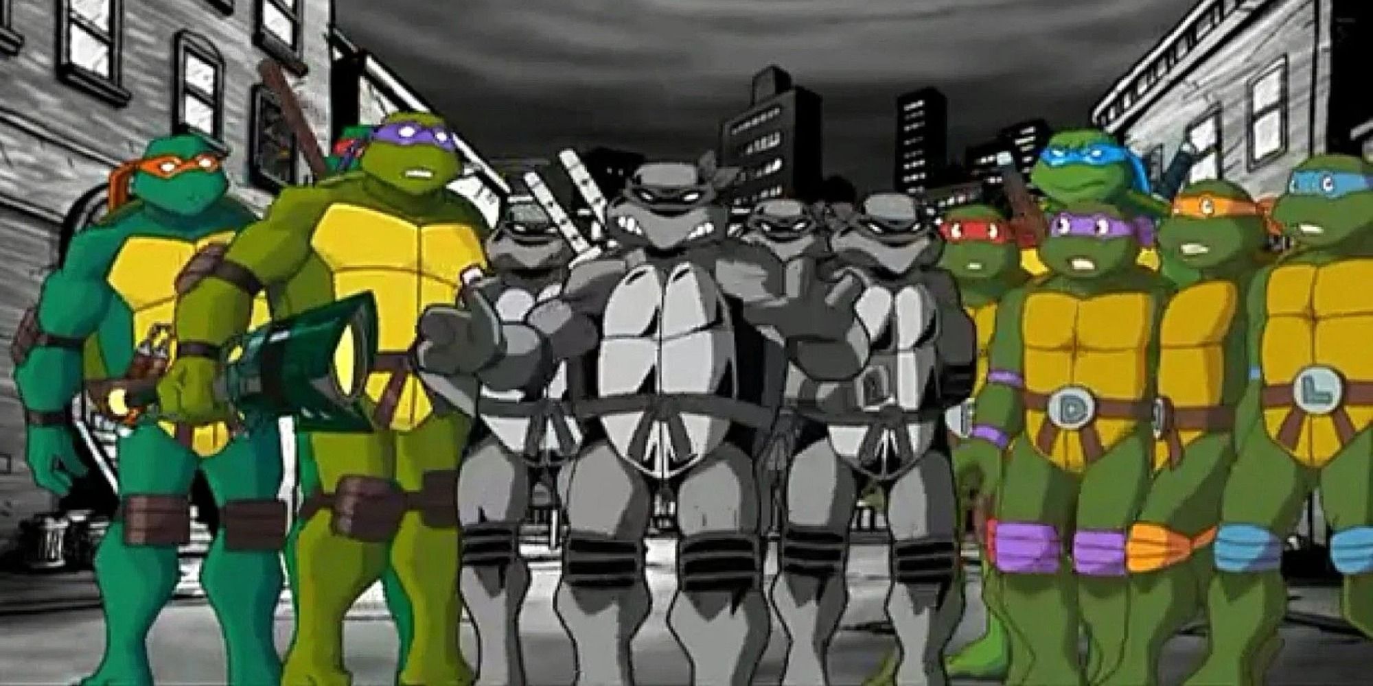 How Many Teenage Mutant Turtles Are There
