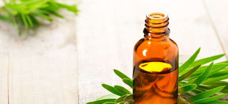 Can Tea Tree Oil Kill You If Ingested