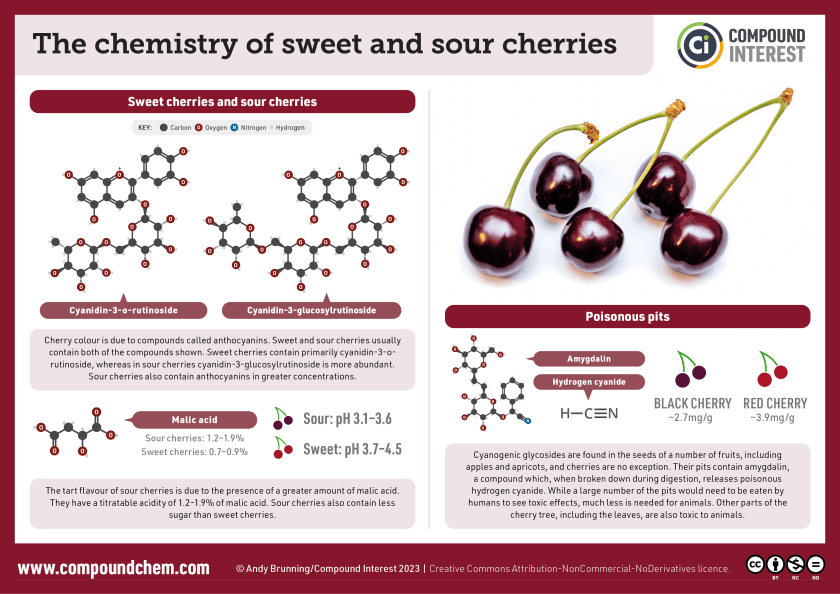 How Much Cyanide Is in One Cherry Seed