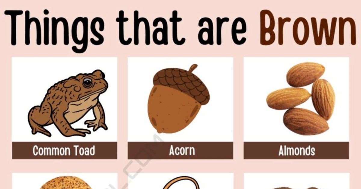 What Is the Brown Stuff