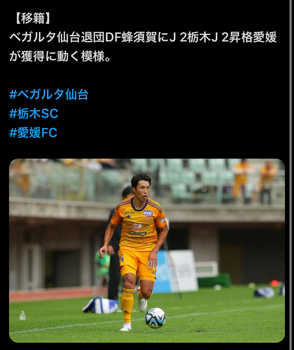 愛媛Fc掲示板の真相｜移籍・監督人事とサポの本音