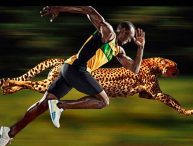 Who Is the Fastest Man on the Planet