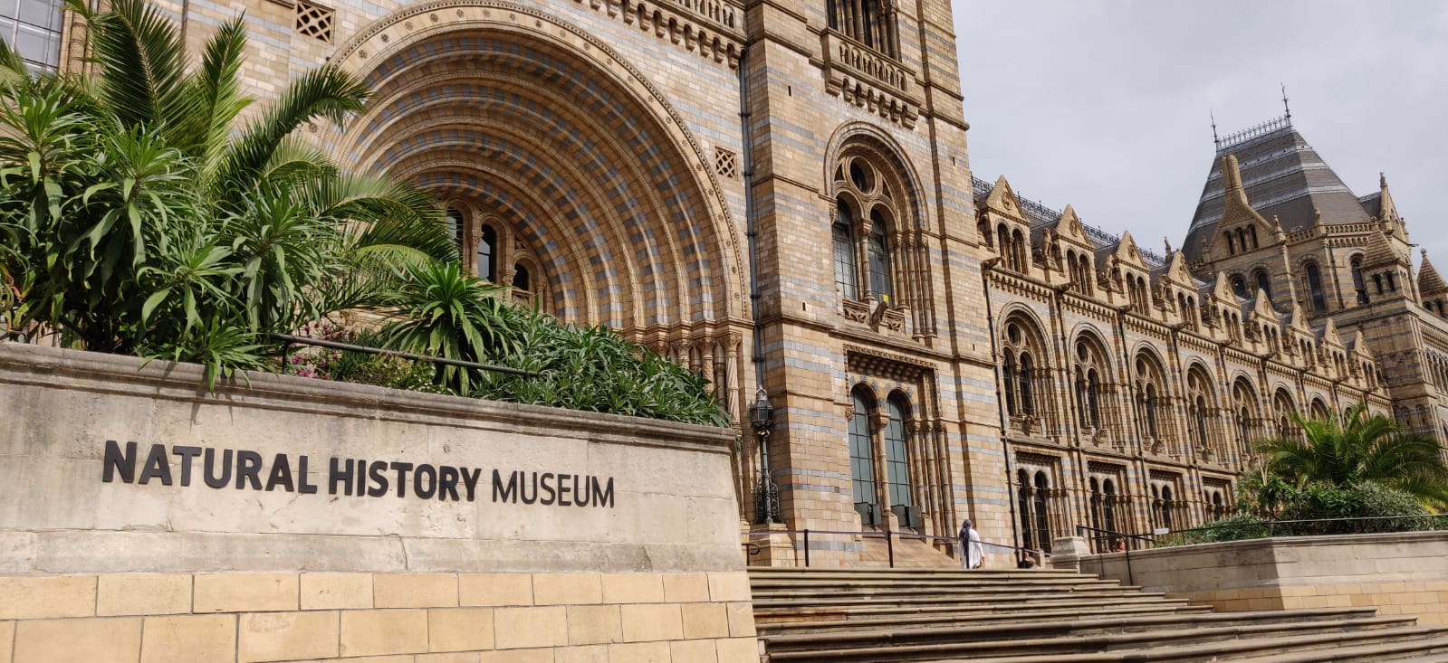 How to Get to Natural History Museum
