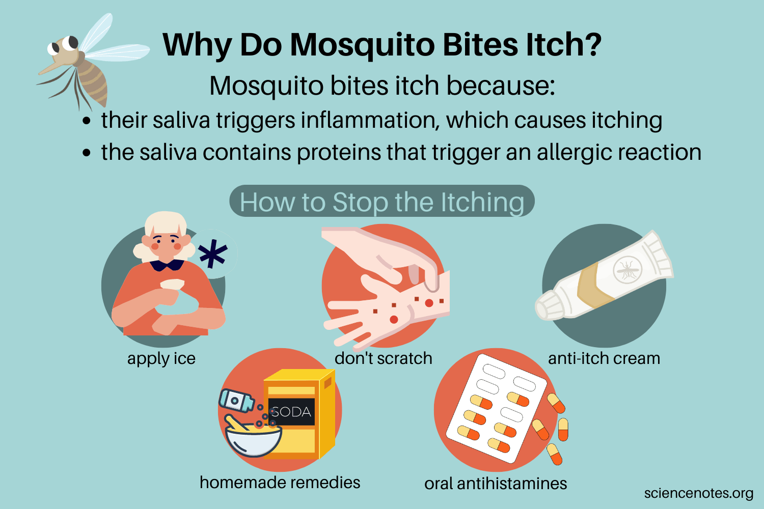 How to Stop a Mosquito Bite from Itching