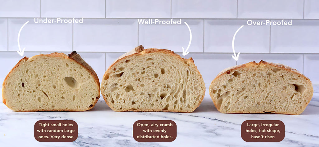 Prove or Proof Bread