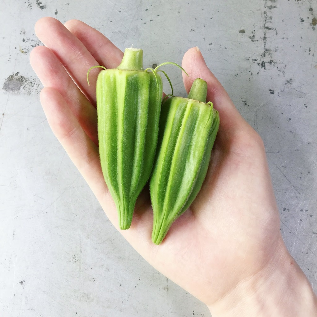 幻のオクラ「ダビデの星」の真実！濃厚な味の評判と失敗しない栽培法
