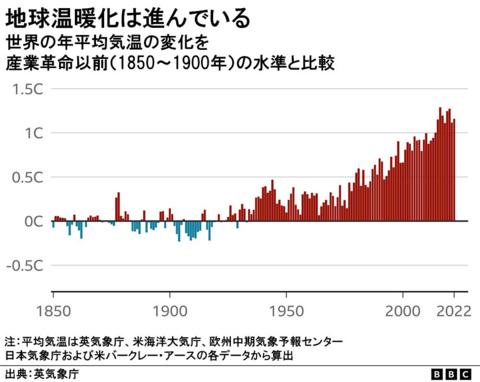 温暖化で冬眠が変わる？2026年、イベラギリシャリクガメ飼育の新常識と私たちが直面する倫理的選択