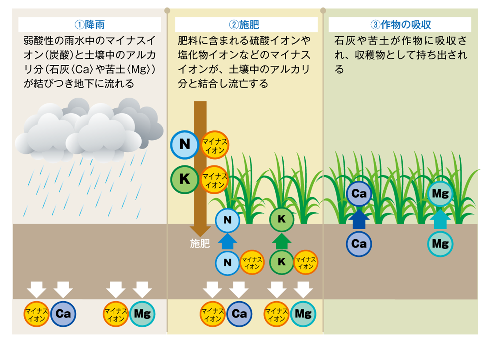 土を酸性にするには？枯れる原因と正しい酸度調整法を徹底解説