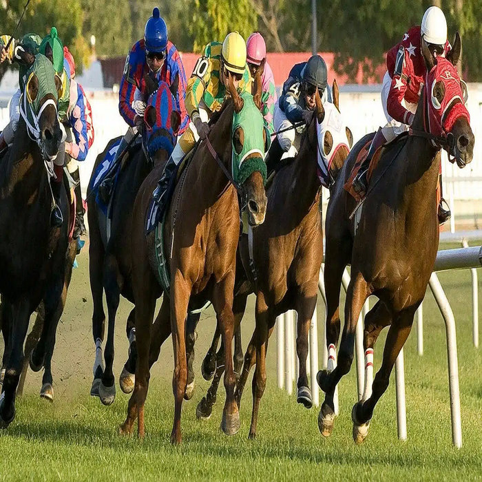 有馬記念2026ライブ中継の無料視聴法！発走時間・オッズと結果速報
