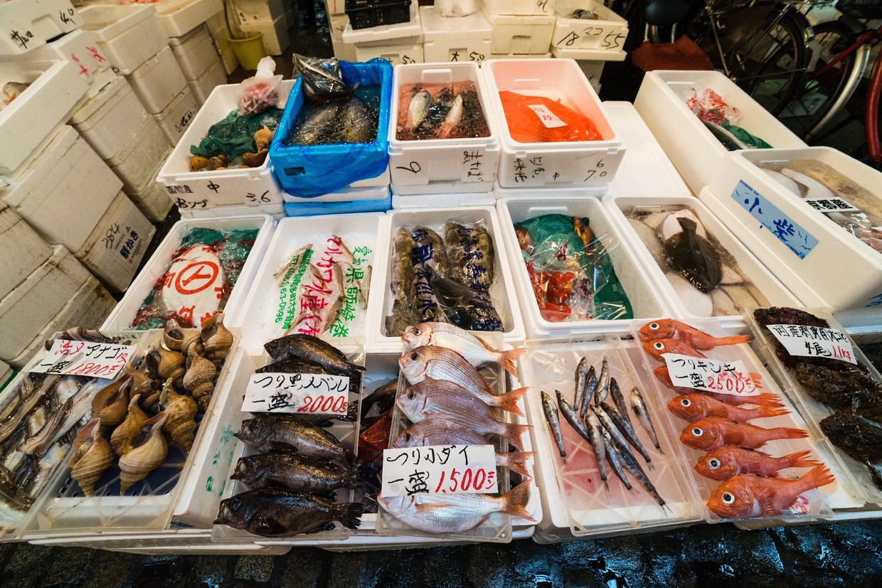 足立市場は一般人も入れる？あだち市場の日や食堂の魅力を徹底解剖