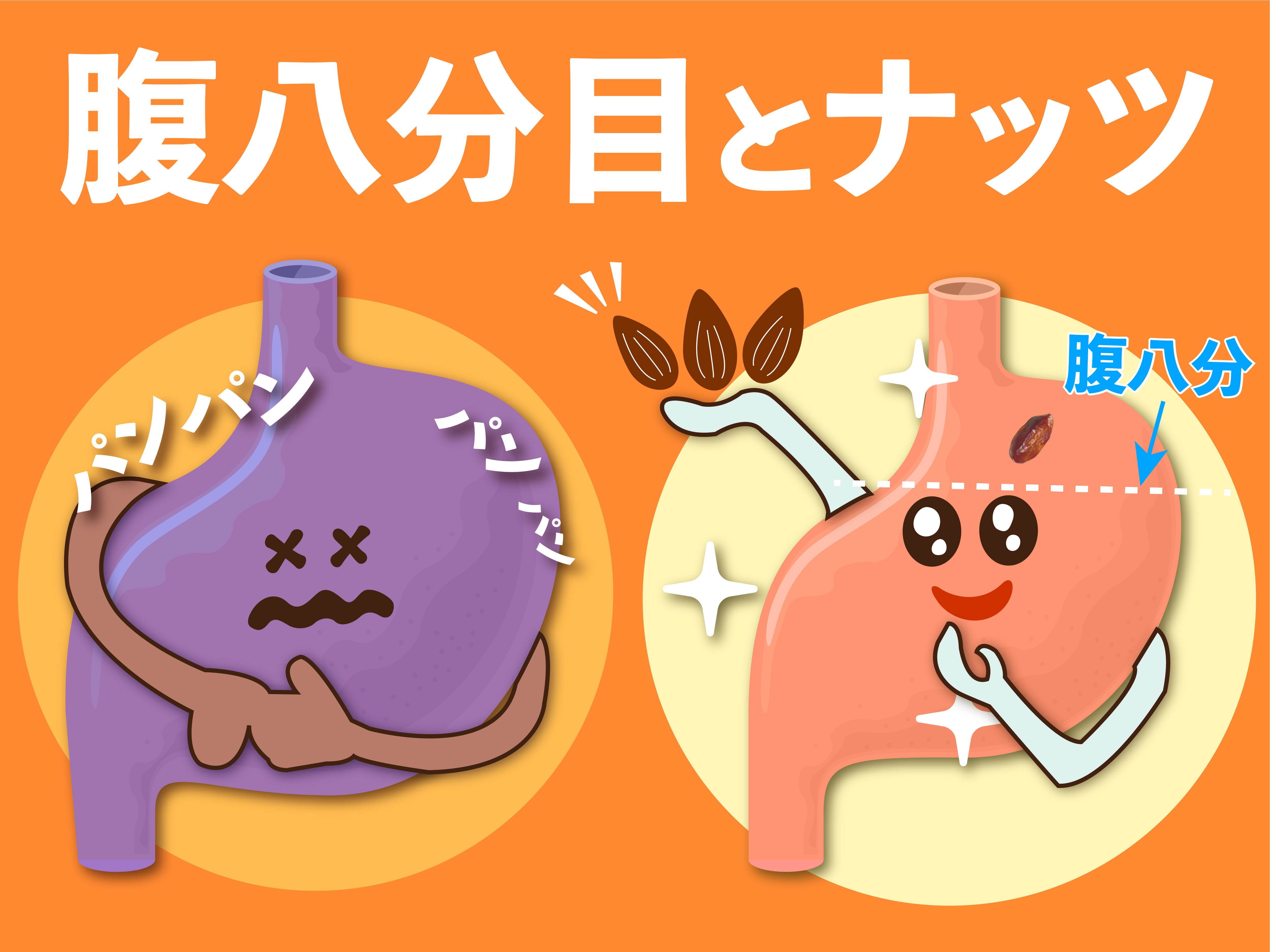腹八分目とはどのくらい？驚きの健康効果と挫折しない実践の極意