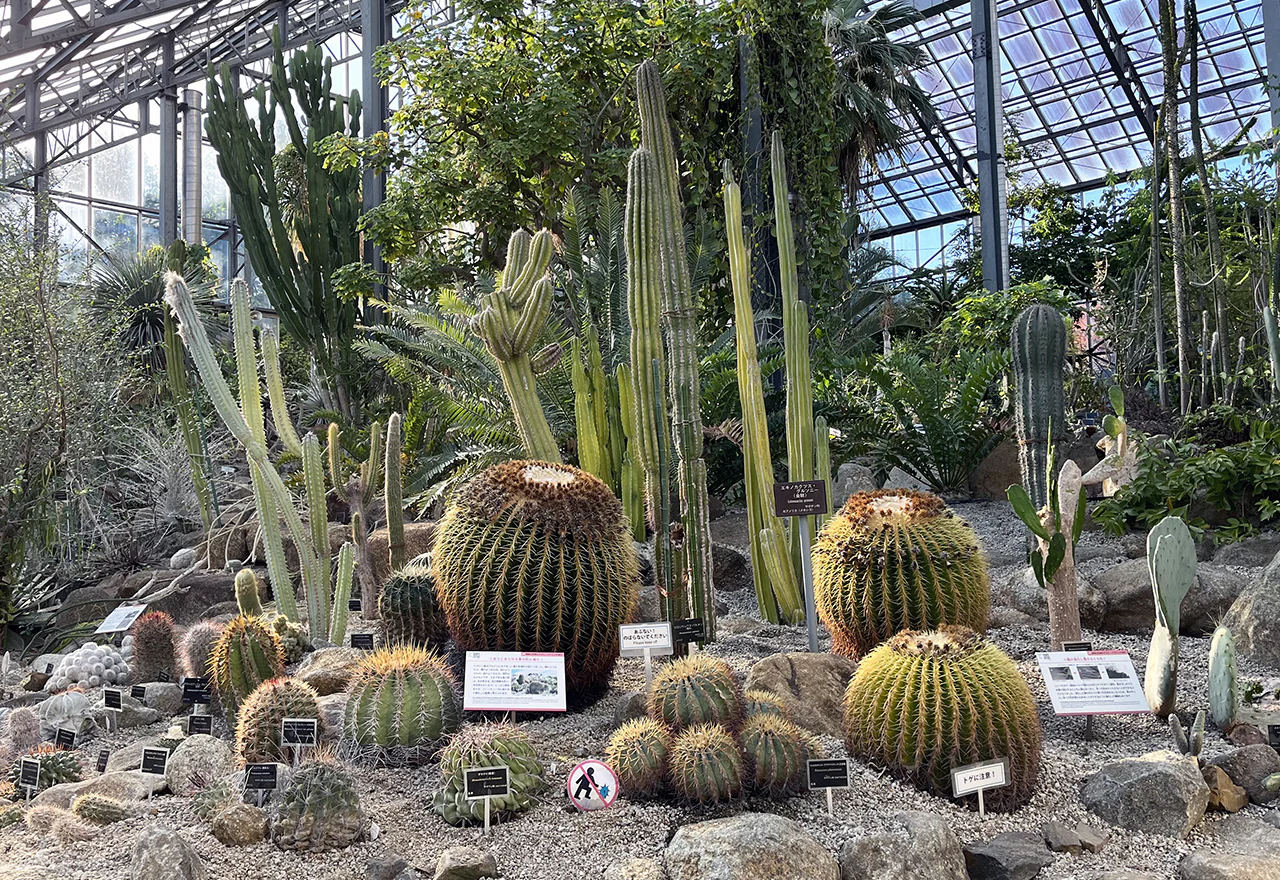 筑波実験植物園の限定公開を独占取材！巨大花と絶滅危惧種の最新研究