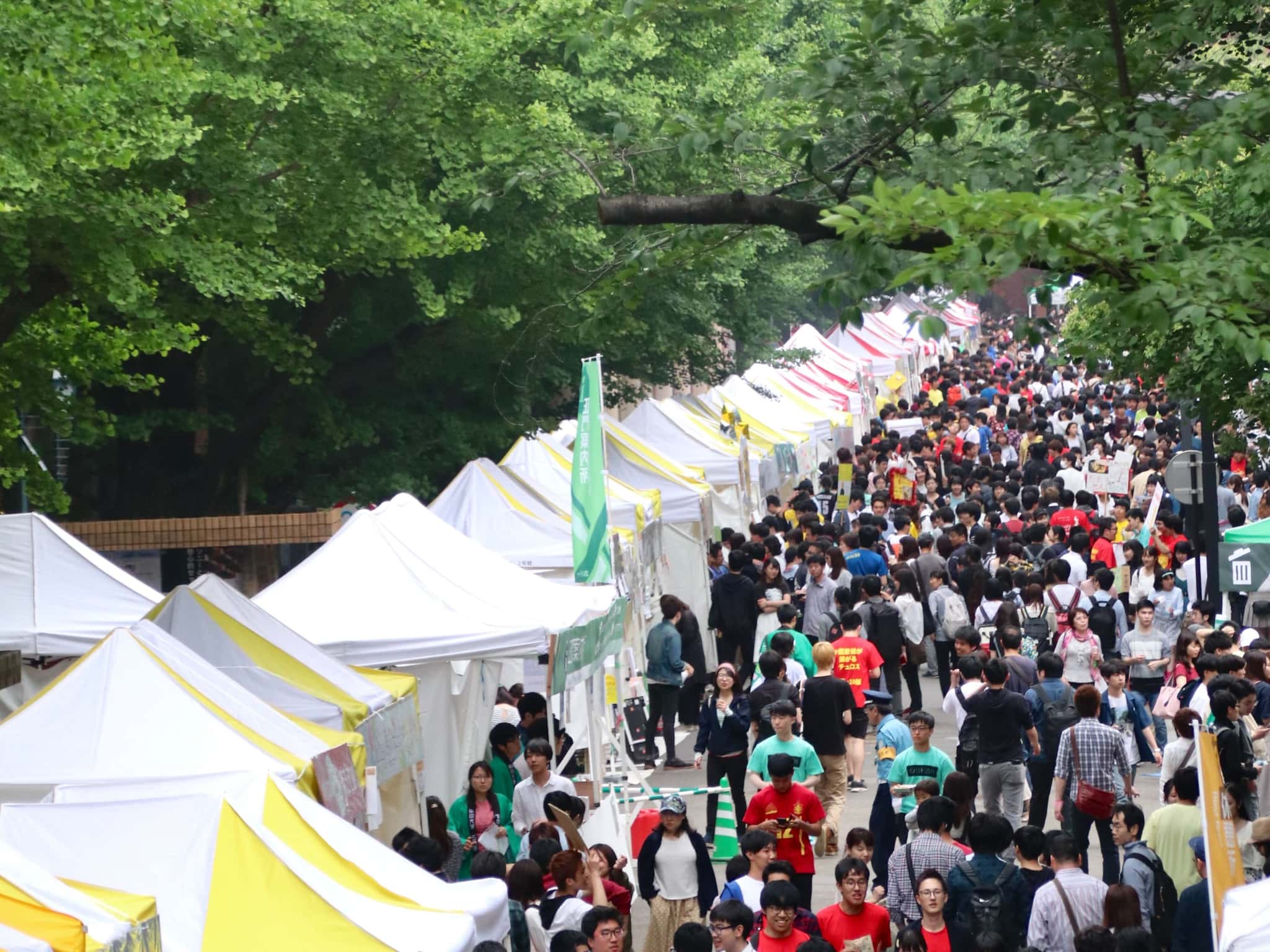 【2026】東大五月祭の全貌！日程や予約ルール・見どころ総まとめ