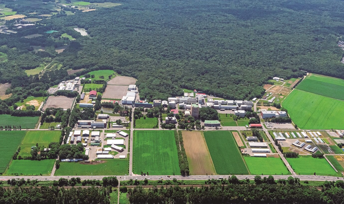 酪農学園大学の評判は？やばい噂の真相と獣医学部偏差値・学費を徹底検証