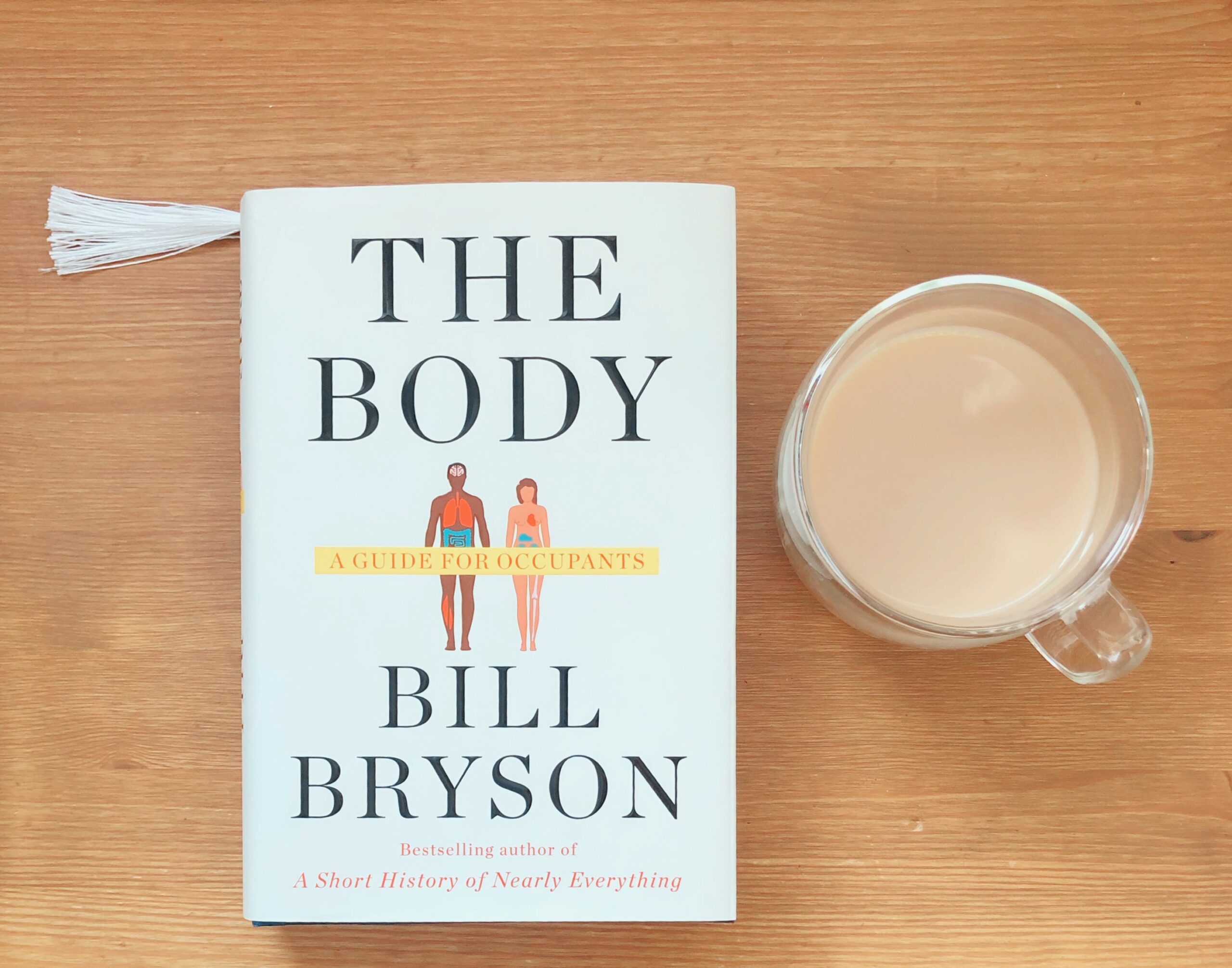 The Body a Guide for Occupants by Bill Bryson