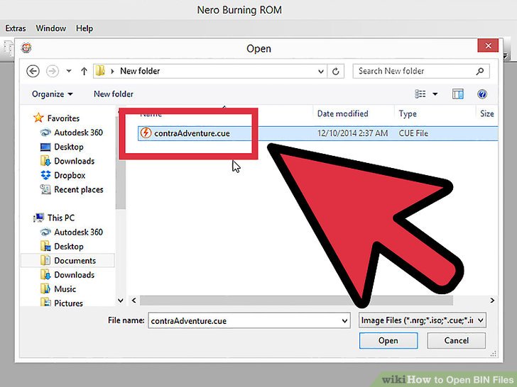 How to Open Binary File on Windows