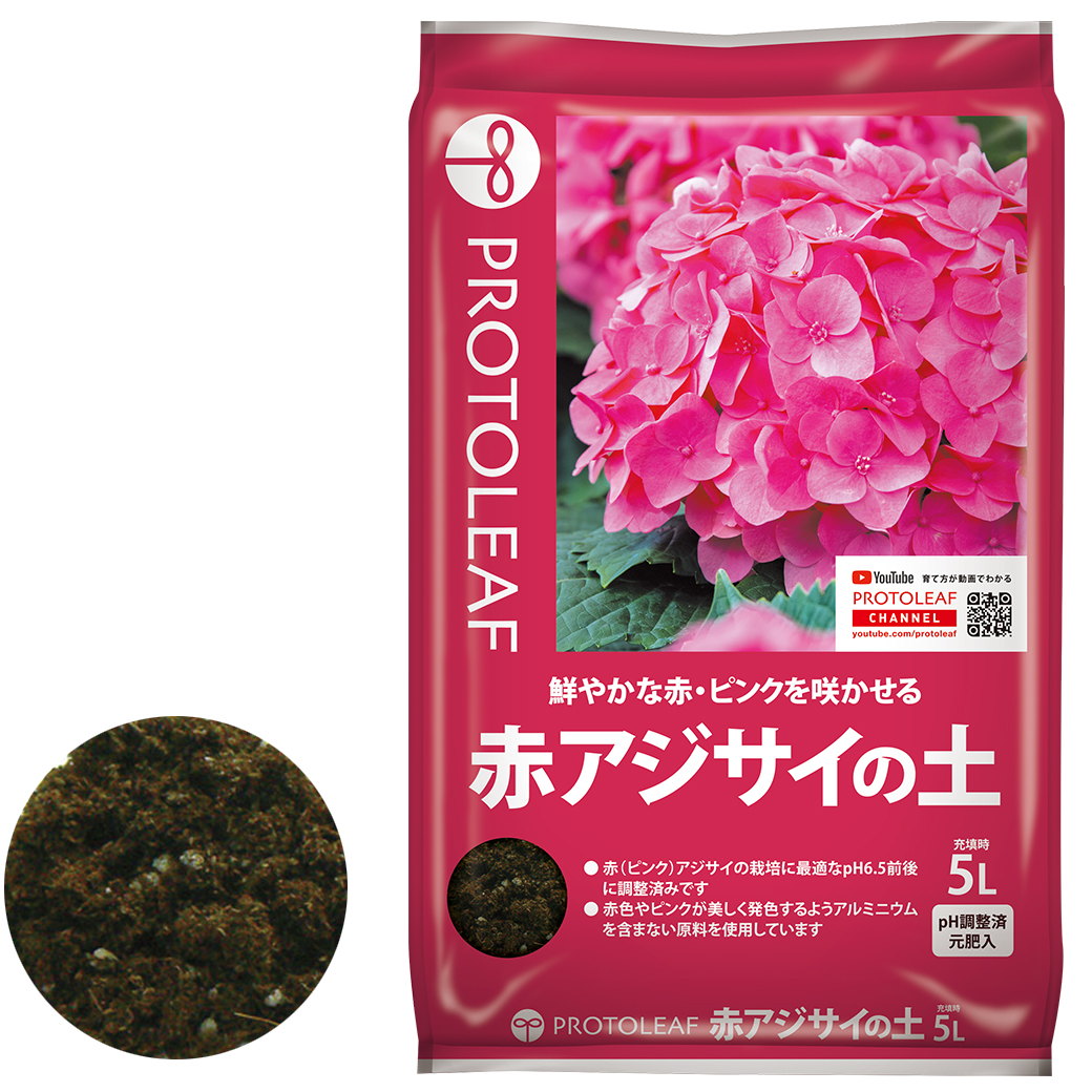 紫陽花の色は土で変わる？青・赤に咲かせるPh調整と土作りの極意