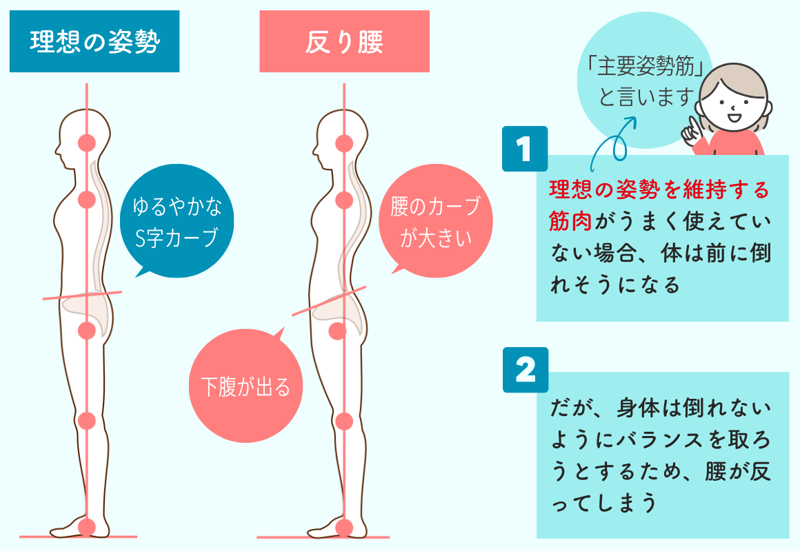 仰向けに寝ると背中が痛い原因は？危険な兆候と楽な寝方を徹底解説
