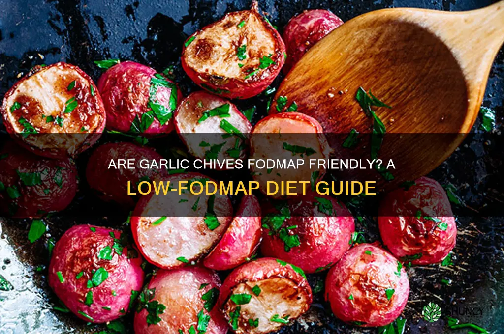 Monash University Fodmap Garlic Chives Fructans