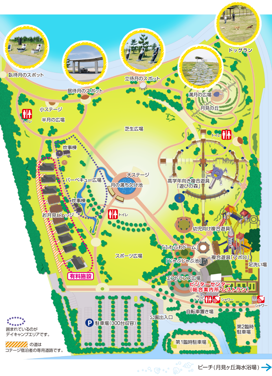 徳島・月見ヶ丘海浜公園の全貌！飛行機絶景とコテージ争奪戦のリアル【2026】