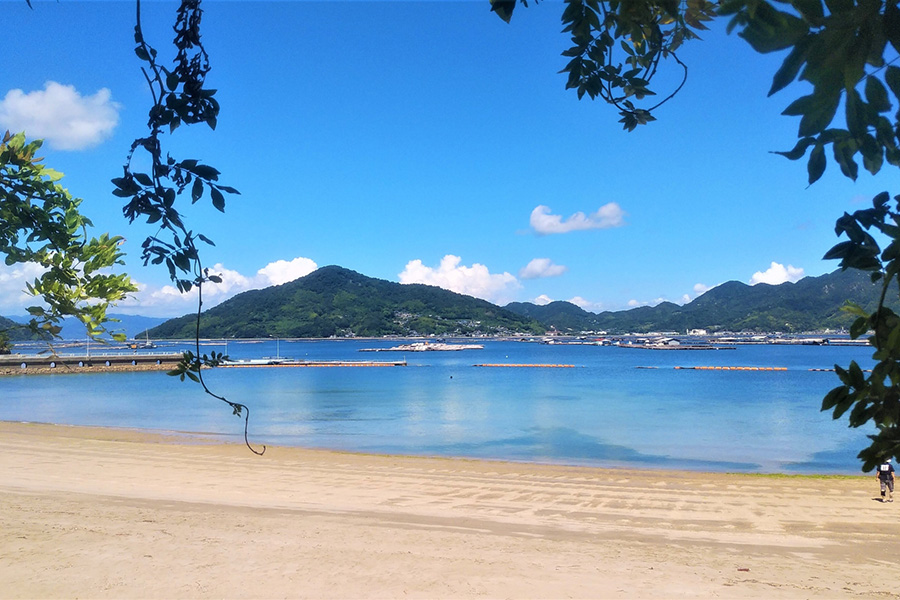 知られざる観光と移住の魅力！江田島市が放つ絶品カキと歴史の真実
