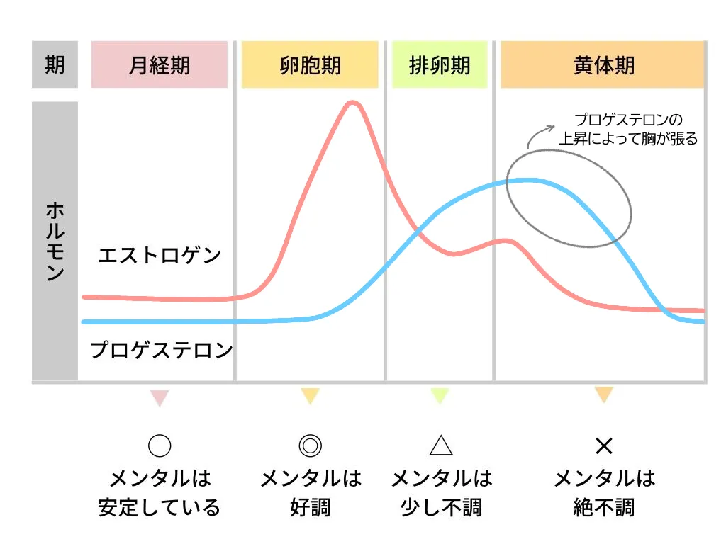 生理後なのに胸が張る痛みの原因とは？妊娠兆候や病気の見分け方