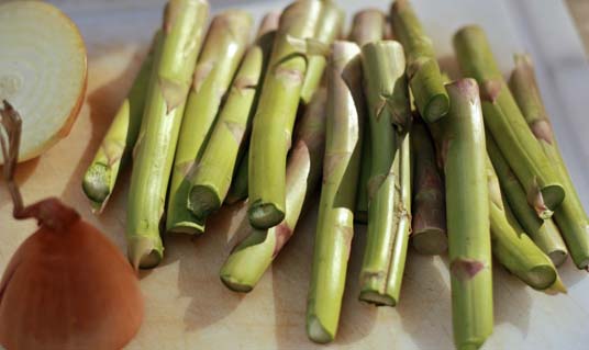 Woody Ends of Asparagus