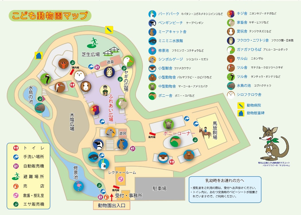 智光山公園こども動物園はなぜ大人気？圧倒的支持の理由と最新攻略法