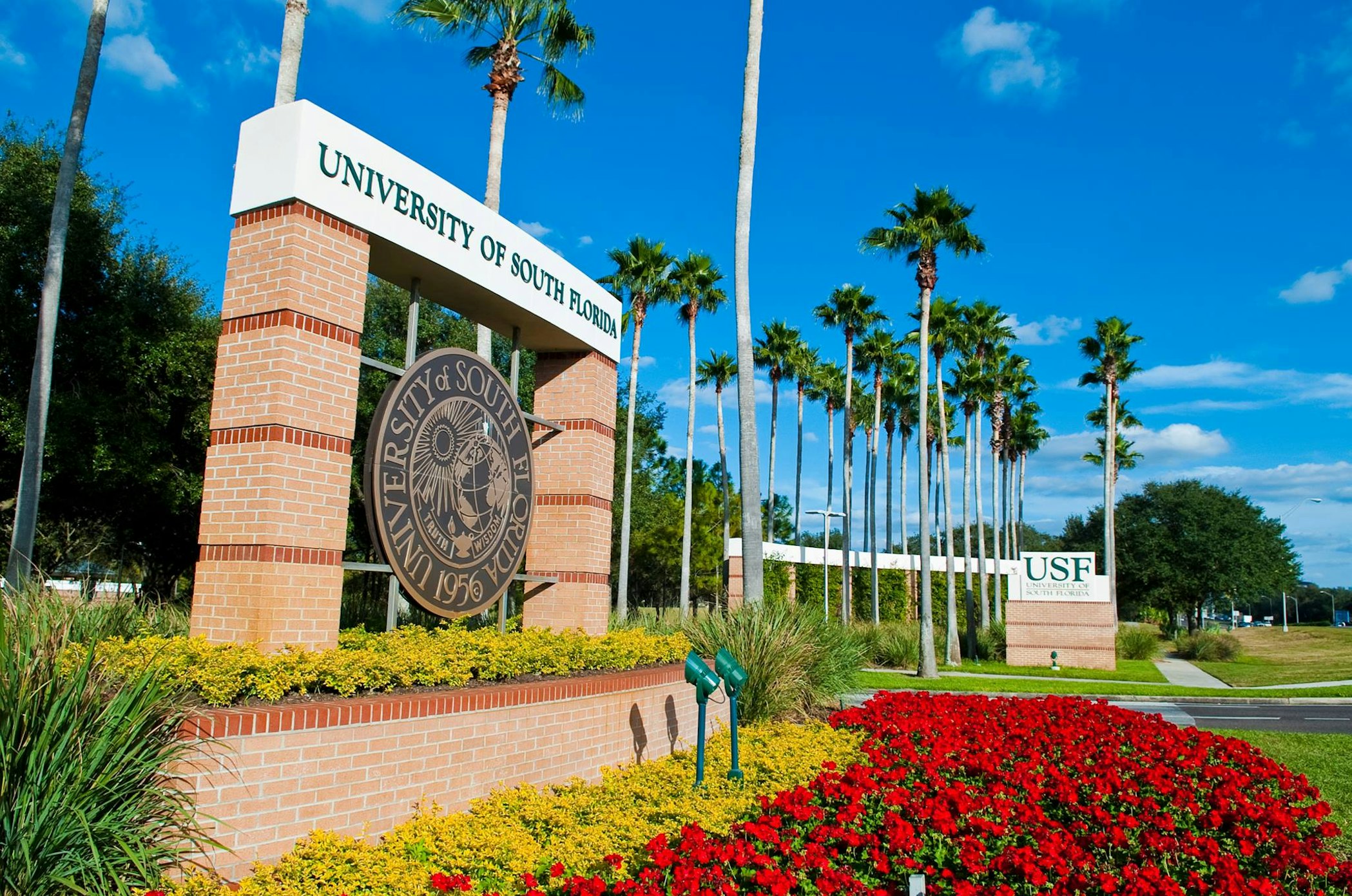 Where Is Usf University