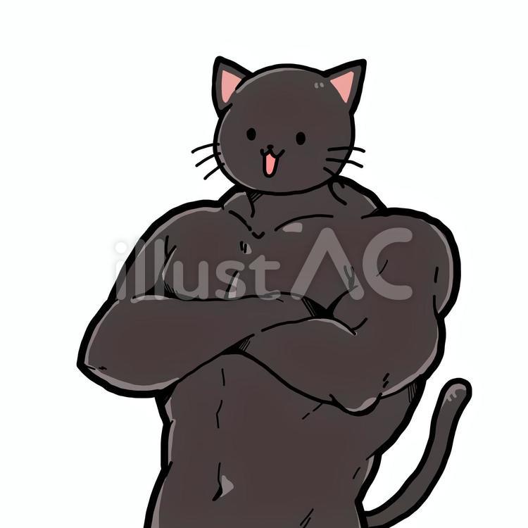 【驚愕】筋肉ムキムキな猫の正体とは？マッチョ化する理由を徹底解剖