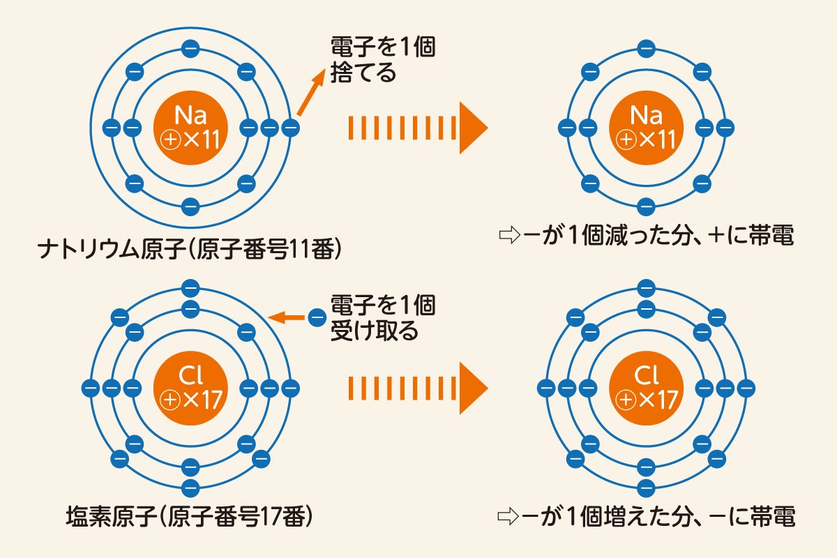 陽イオン・陰イオンの違いを完全攻略！テストで迷わない覚え方と仕組み