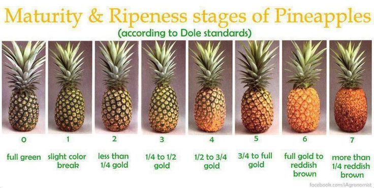 How to Pick a Good Pineapple