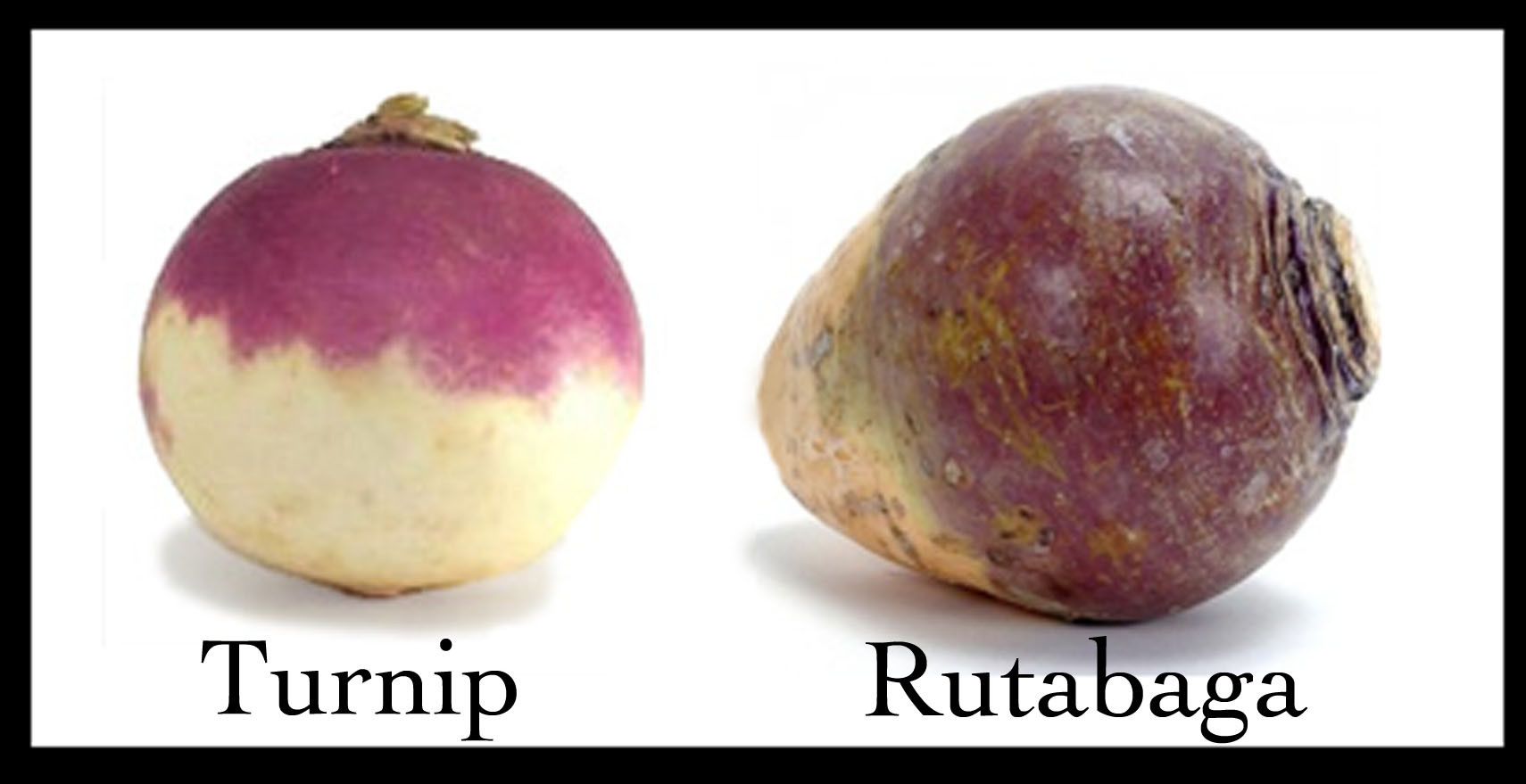 How Can You Tell If a Rutabaga Is Bad