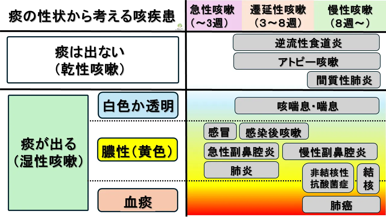 痰がらみの咳が止まらない原因とは？色の違いと受診すべきサイン