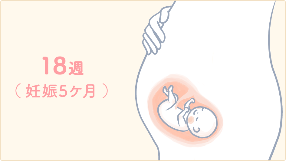 妊娠18週の胎動はどんな感覚？感じない初産婦の兆候と受診サイン