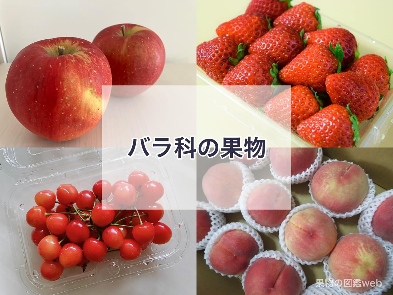 バラ科果物一覧とアレルギーの真相｜イチゴや桃で喉がかゆい原因とは