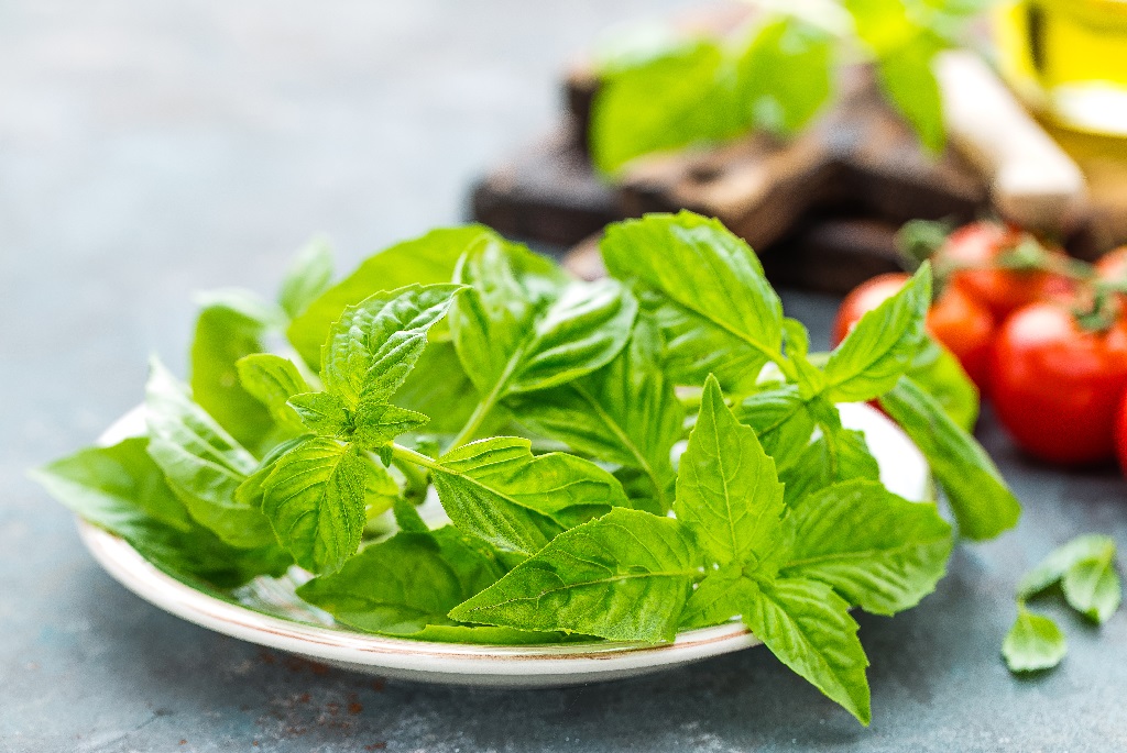 Best Basil for Cooking