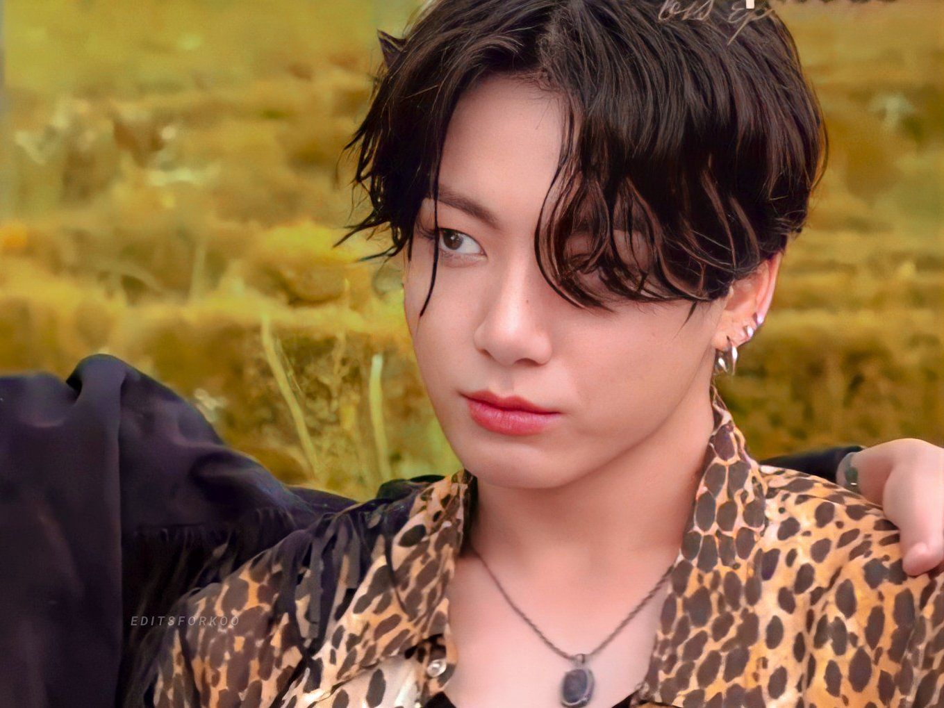 Bts Bangtan Sonyeondan Jeon Jungkook