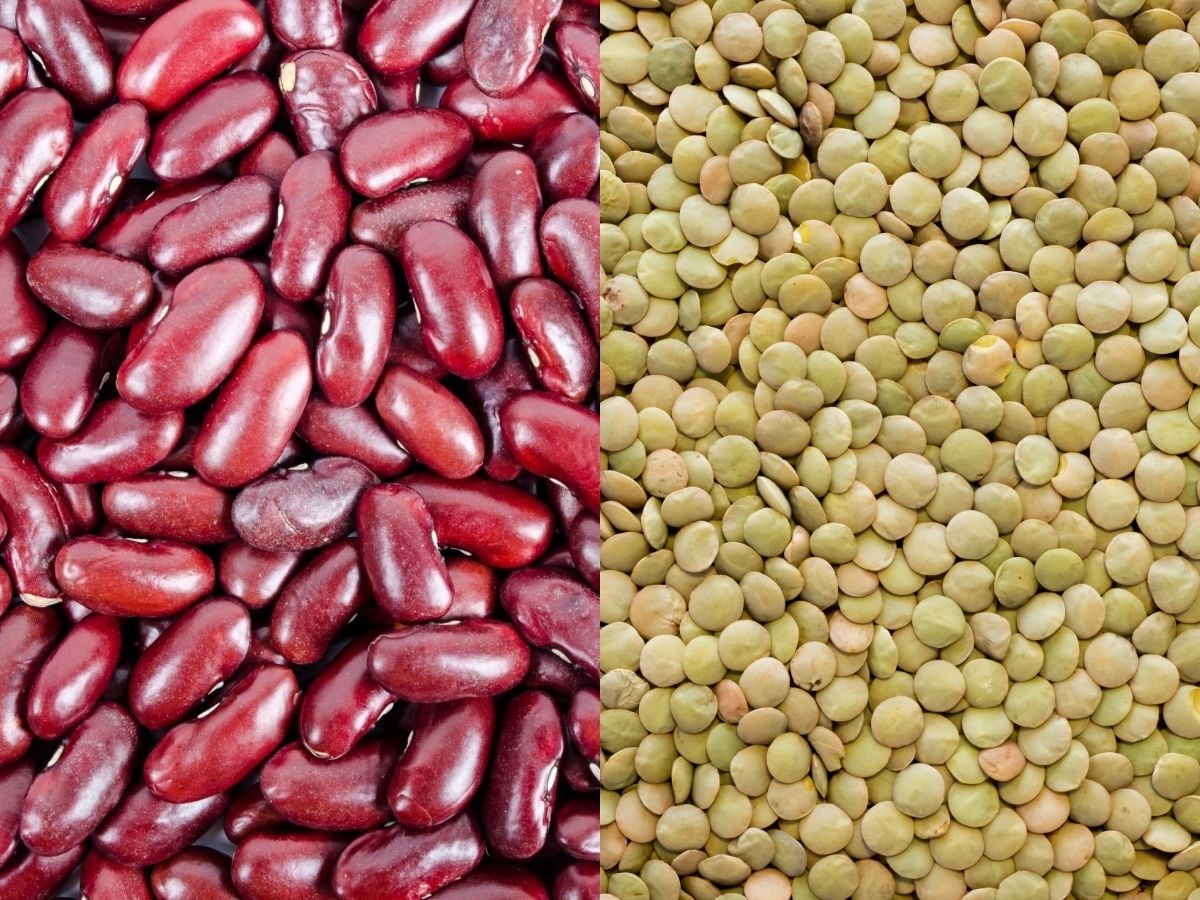 Is Lentils a Bean