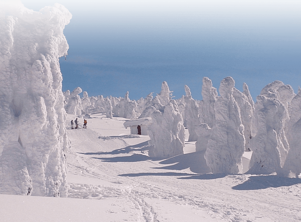 蔵王ライザワールド徹底解説！極上雪と本格ピザ・樹氷ツアー最新情報