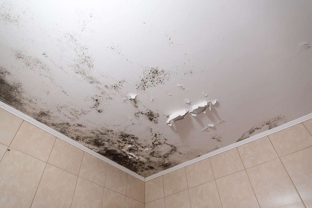 Mold on Bathroom Ceiling